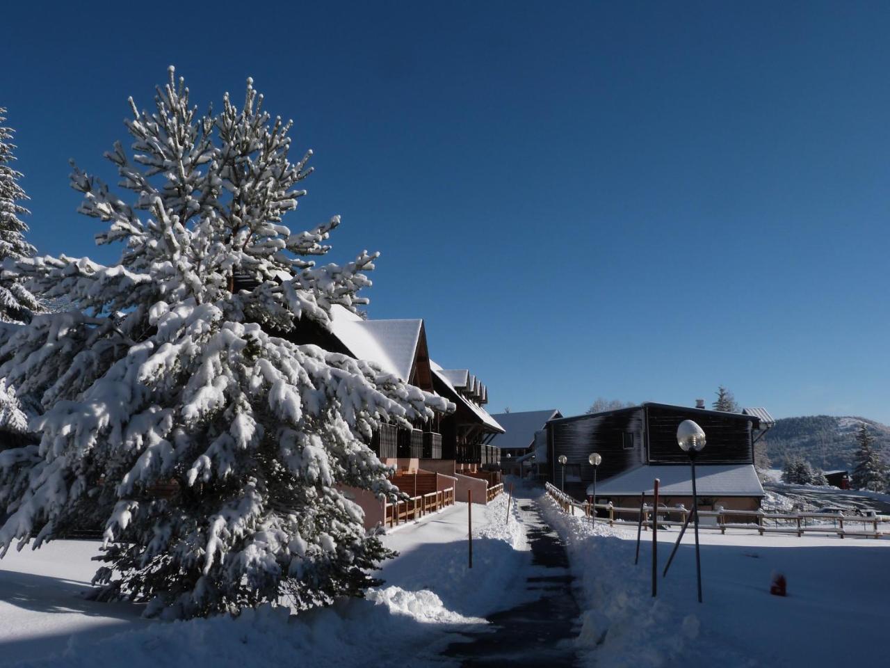 Residence Le Bois De La Reine Super Besse Exterior photo